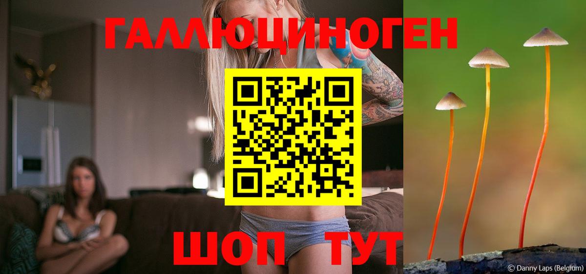 Галлюциногенные грибы прущие грибы  Вход с VPN  наркотики  Красный Сулин 